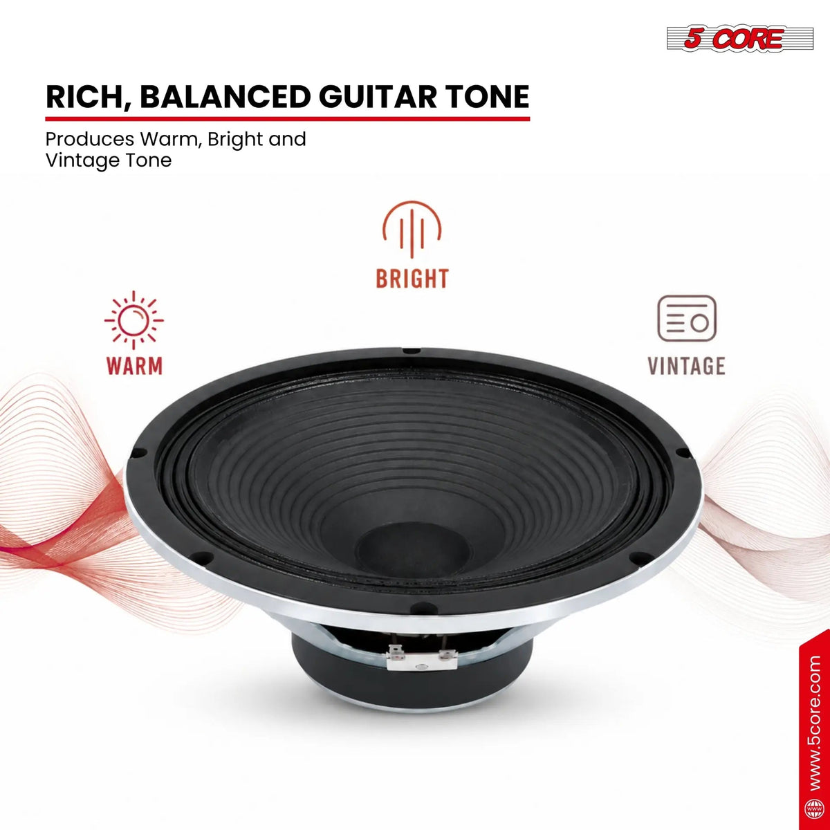 5 Core 10 Inch Guitar Speaker 60W Replacement 16 Ohm Amplifier Driver - HONORABLE VETERANS SOLUTIONS