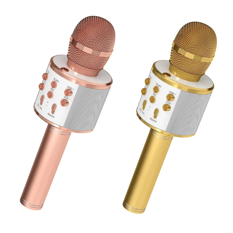 5 Core Microphone Wireless Karaoke Mic With Speaker 3 in 1 Portable Bluetooth Microfono Inalambrico - HONORABLE VETERANS SOLUTIONS