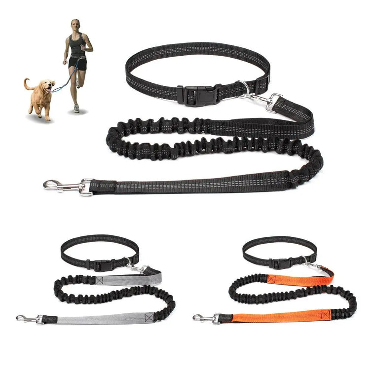 Hand Free Dog Leash for Pet Walking Running Jogging Adjustable Dog Leash Waist Belt Chest Strap Traction Rope Dog Accessories - HONORABLE VETERANS SOLUTIONS