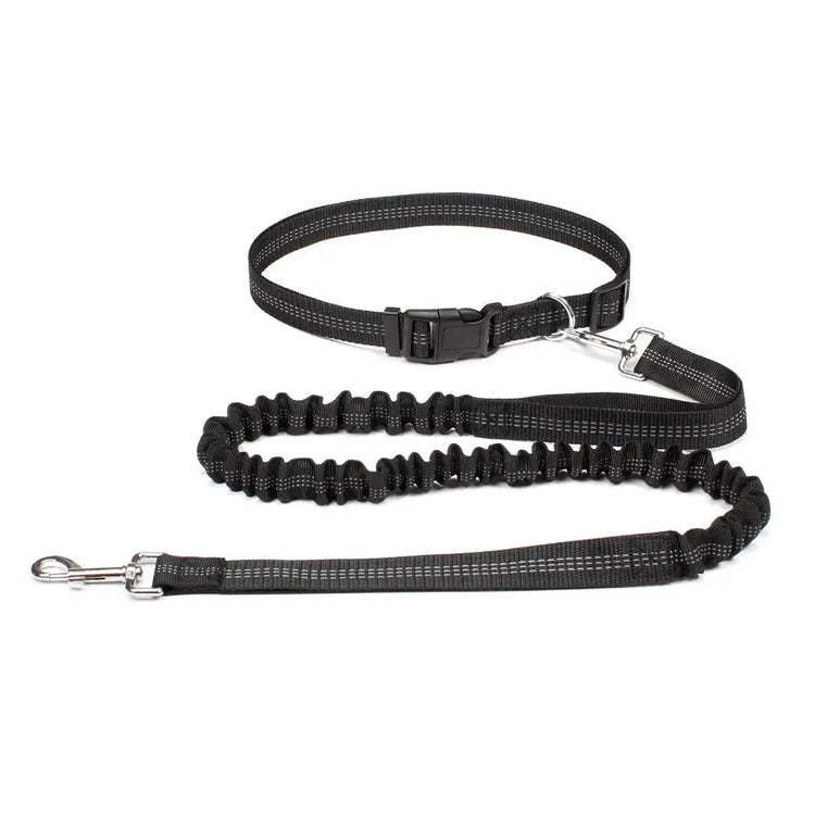 Hand Free Dog Leash for Pet Walking Running Jogging Adjustable Dog Leash Waist Belt Chest Strap Traction Rope Dog Accessories - HONORABLE VETERANS SOLUTIONS
